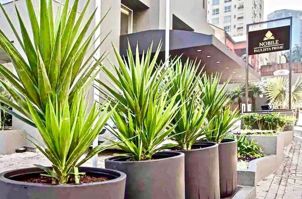 Flat Whynd Paulista Al Campinas 540 Apartment Sao Paulo Exterior photo